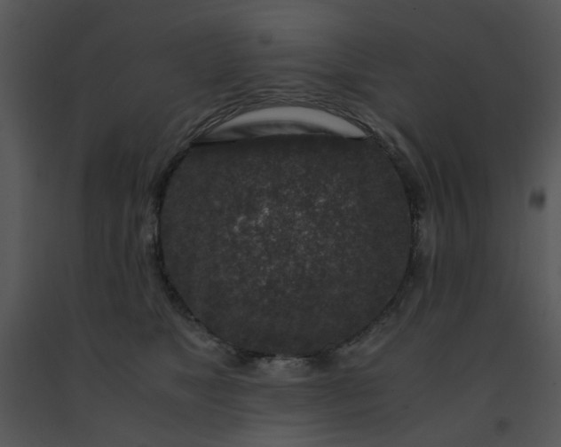 X0000091450517200708301813