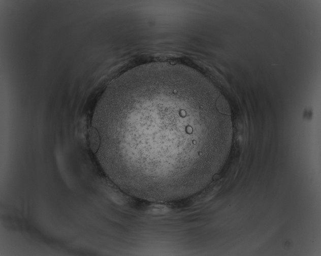 X0000091450519200708301813