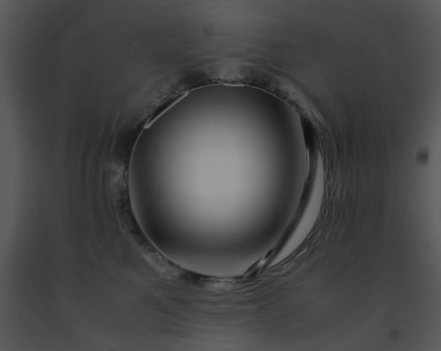 X0000091450521200708301813