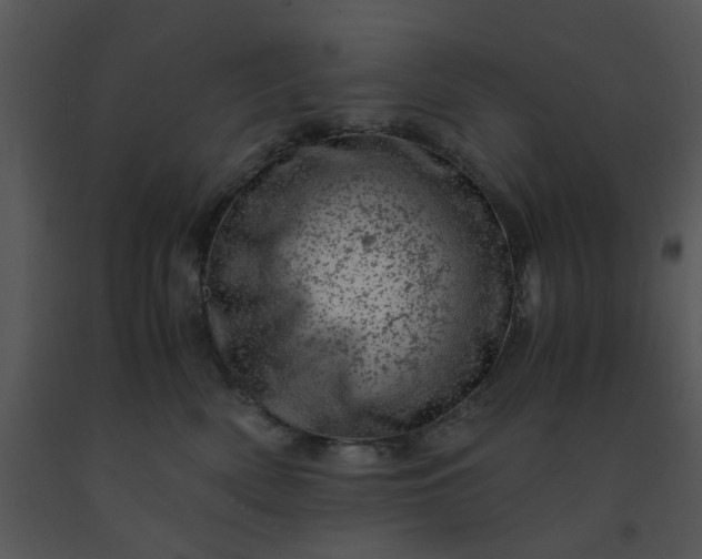 X0000091450522200708301813