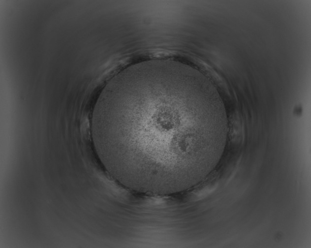 X0000091450523200708301813