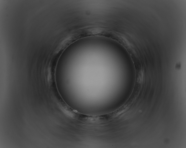 X0000091450524200708301813