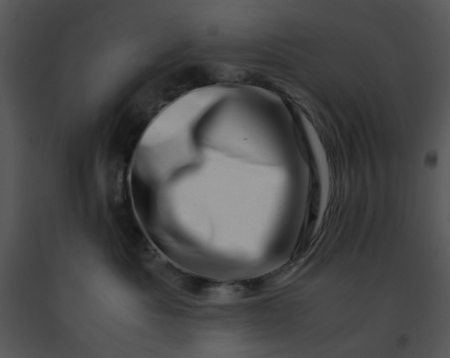 X0000091450525200708301812