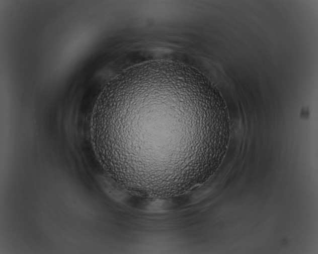 X0000091450527200708301812