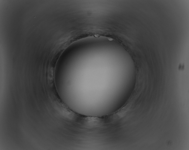 X0000091450528200708301812