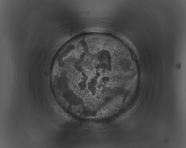 X0000091450529200708301812