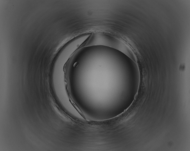 X0000091450530200708301812