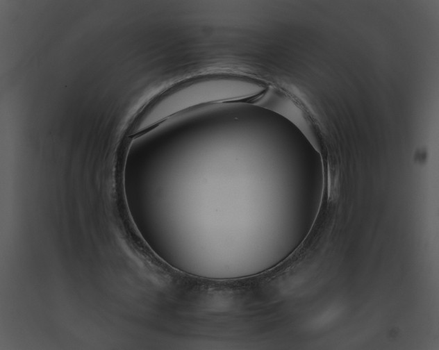 X0000091450531200708301812