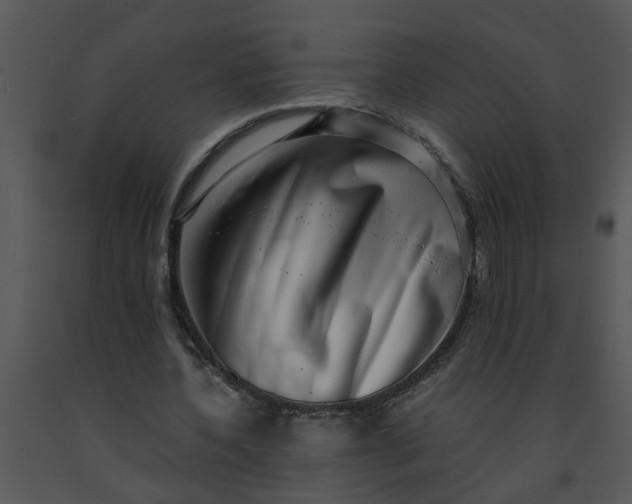 X0000091450532200708301812
