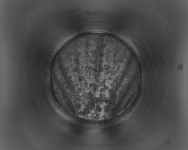 X0000091450533200708301812