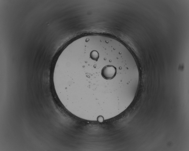 X0000091450534200708301812