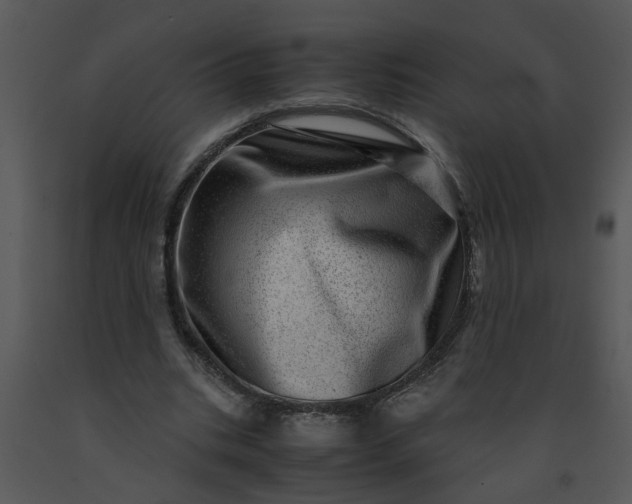 X0000091450535200708301812