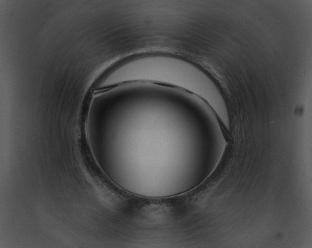 X0000091450536200708301812