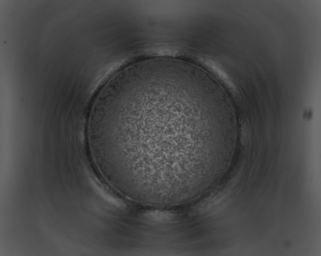 X0000091450537200708301812