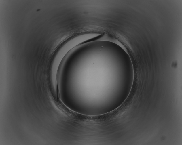 X0000091450538200708301812