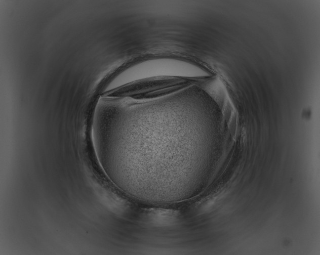 X0000091450539200708301812