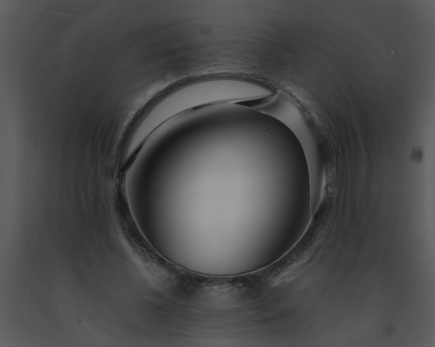 X0000091450540200708301812
