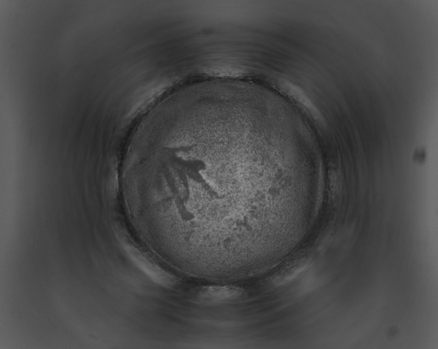 X0000091450541200708301812