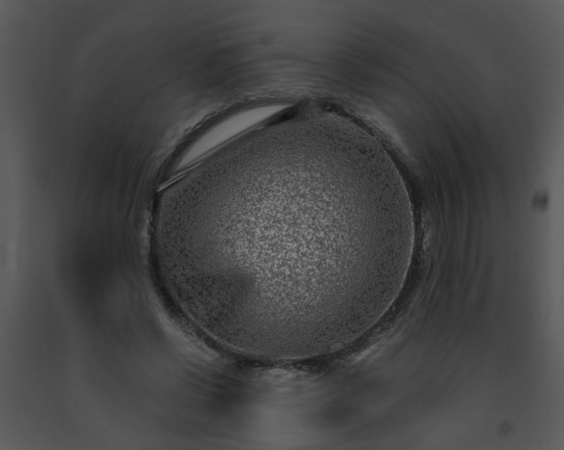 X0000091450542200708301812