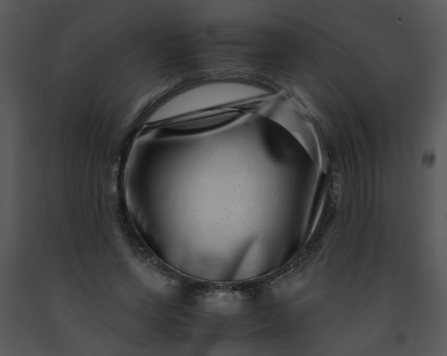 X0000091450543200708301812