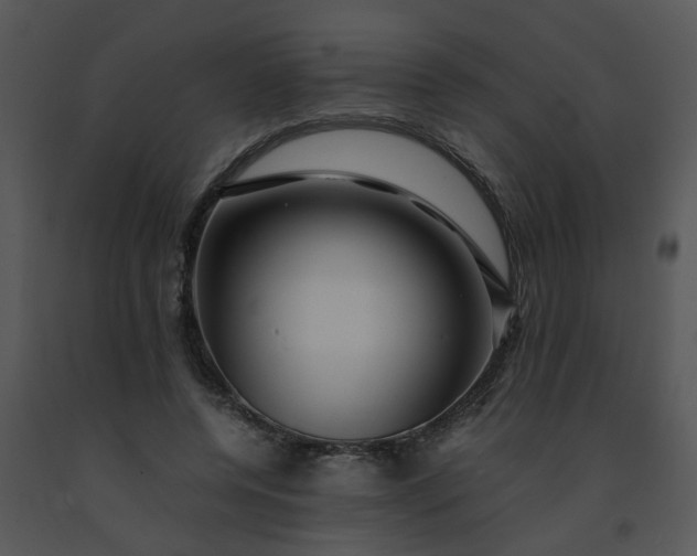 X0000091450544200708301812