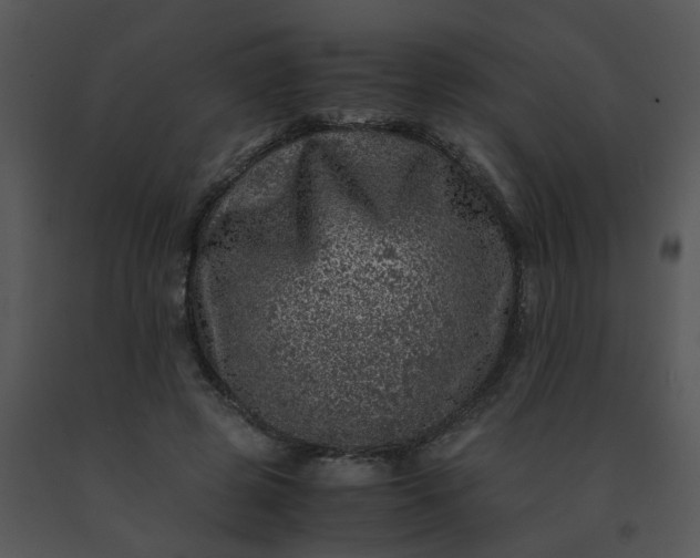 X0000091450545200708301812