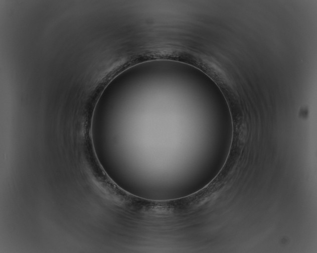 X0000091450546200708301812