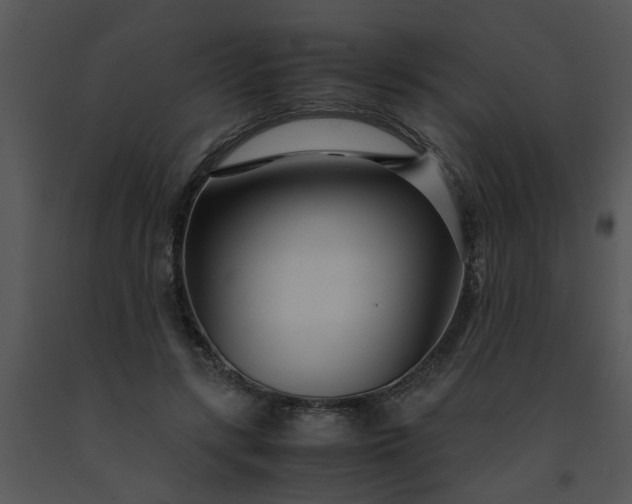 X0000091450547200708301812