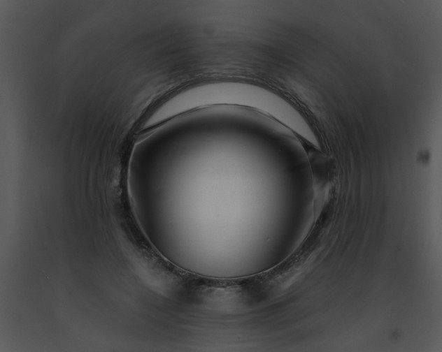 X0000091450548200708301812