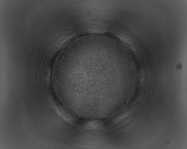 X0000091450550200708301812