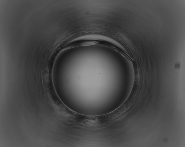 X0000091450552200708301812