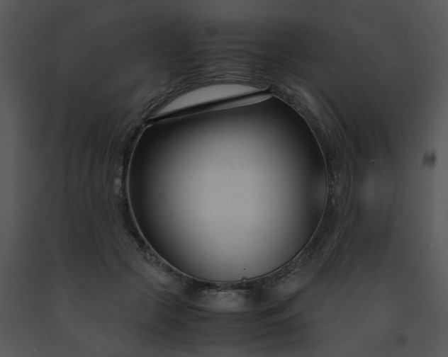 X0000091450553200708301812