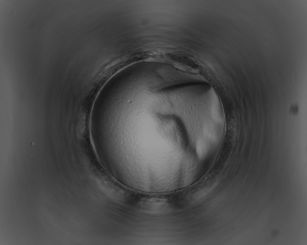 X0000091450554200708301812