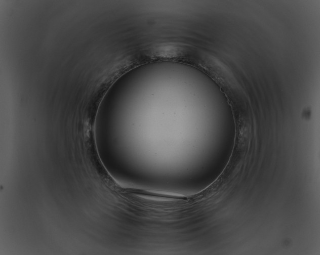 X0000091450555200708301812