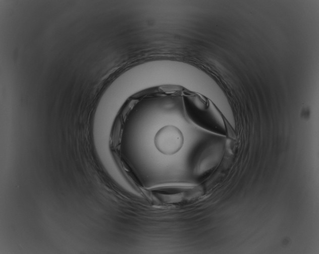 X0000091450556200708301812