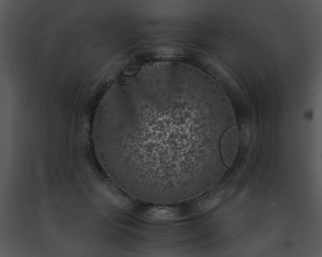 X0000091450557200708301812