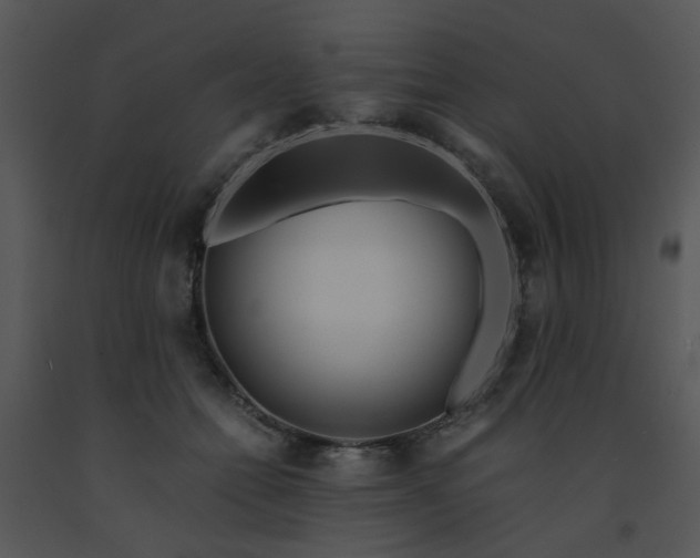 X0000091450558200708301812