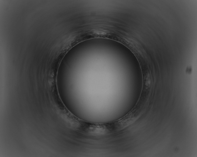 X0000091450559200708301812