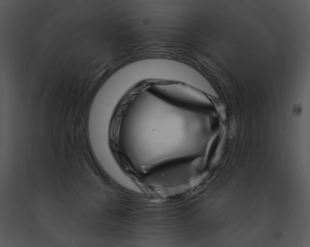 X0000091450560200708301812