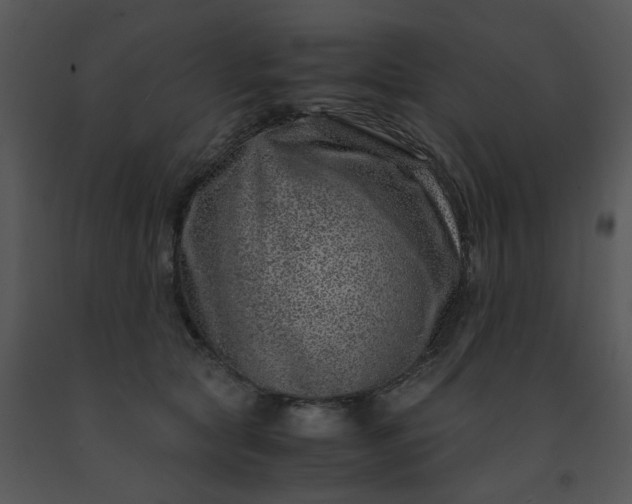 X0000091450561200708301812