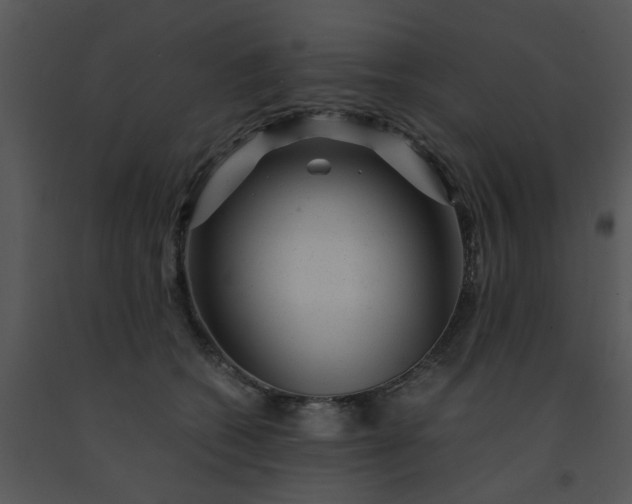 X0000091450562200708301812
