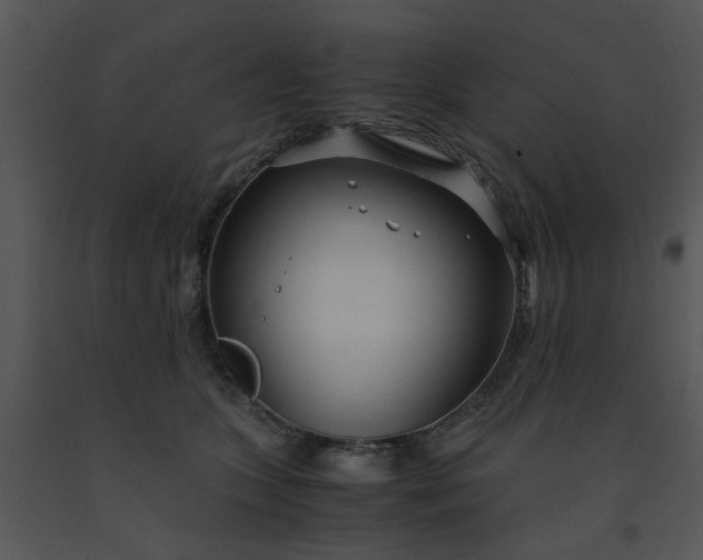 X0000091450563200708301812