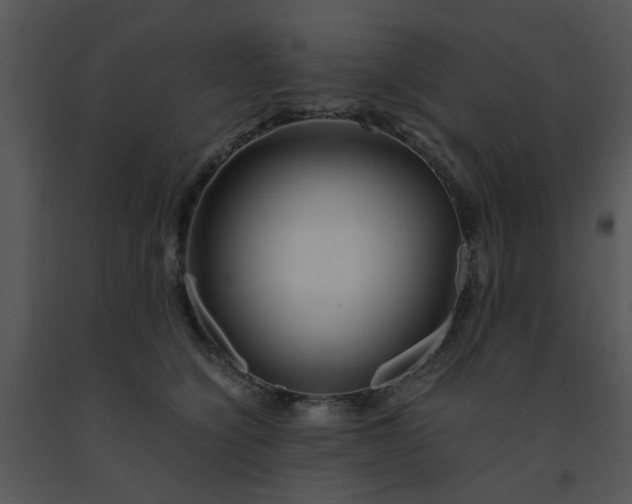X0000091450564200708301812