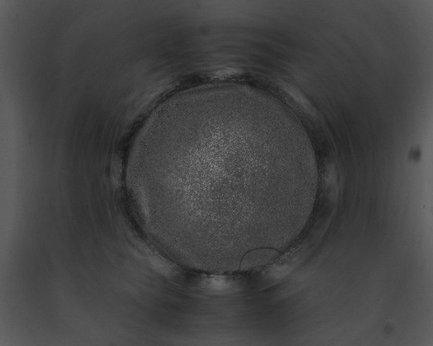 X0000091450565200708301812