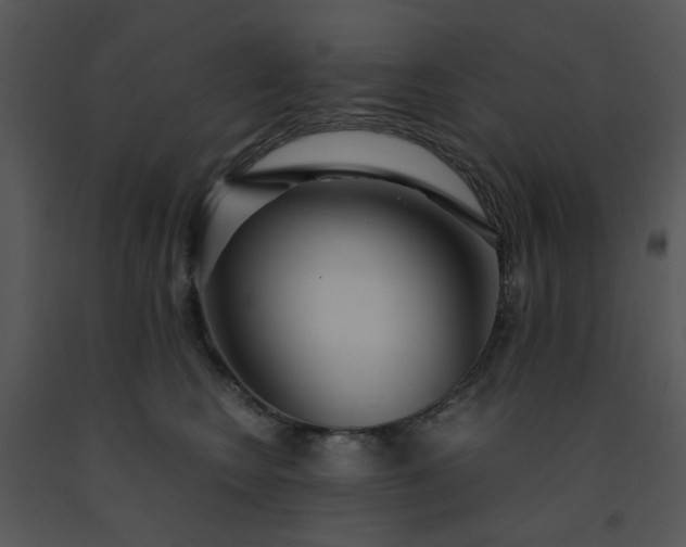 X0000091450566200708301812