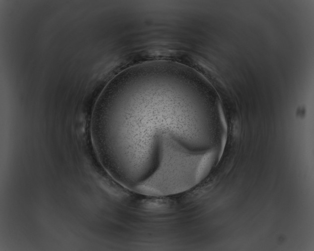 X0000091450567200708301812