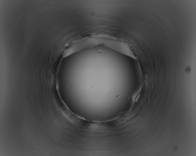 X0000091450568200708301812