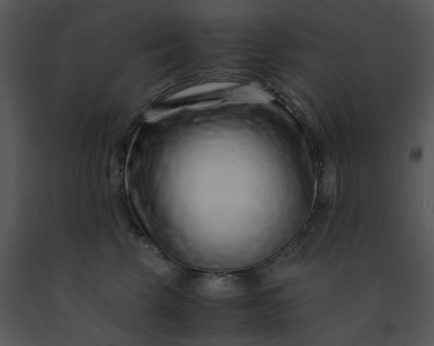 X0000091450569200708301812