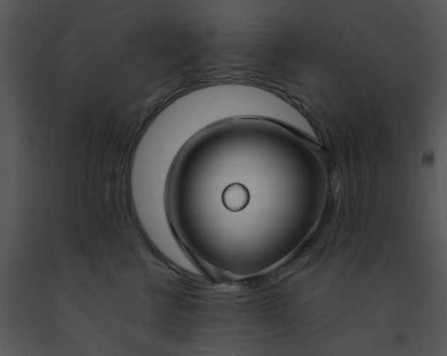 X0000091450570200708301812