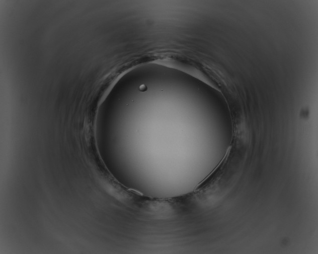 X0000091450572200708301812